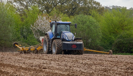 Kent: AHDB and NIAB meeting – Spring planting options (late-sown winter wheat vs spring cereals) and SFI